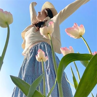 厕所骑士